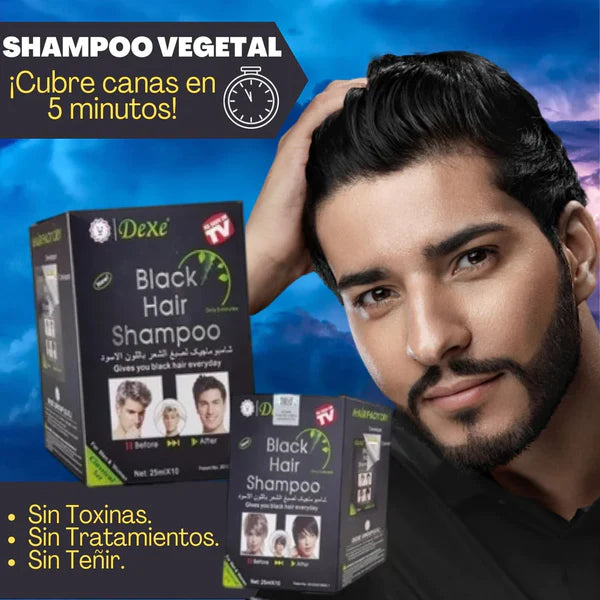 SHAMPOO ANTICANAS DEXE